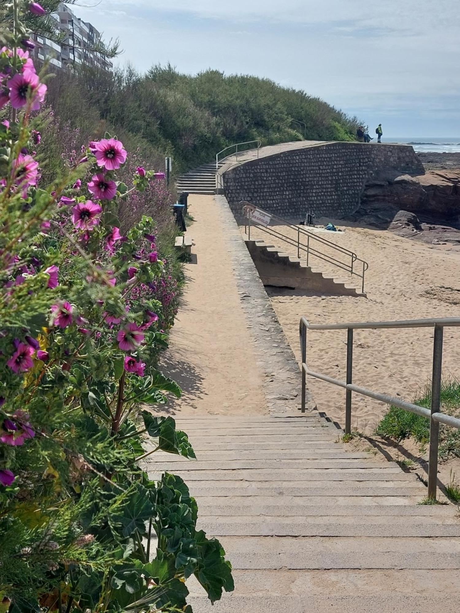 Studio La Salicorne Au Sables D'Olonne Les Sables-dʼOlonne Zewnętrze zdjęcie